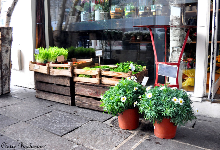 Atelier floral Brindille