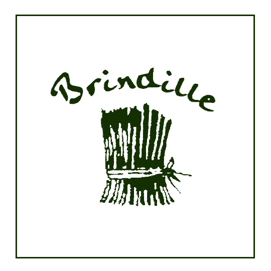 Logo Brindille